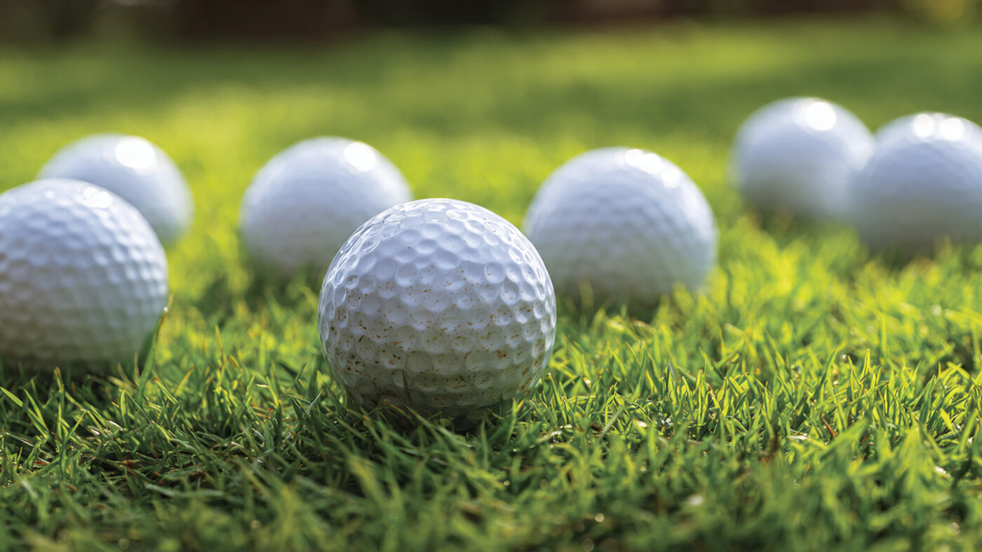 Best Vice Golf Balls (Top Models Ranked for Value & Performance)